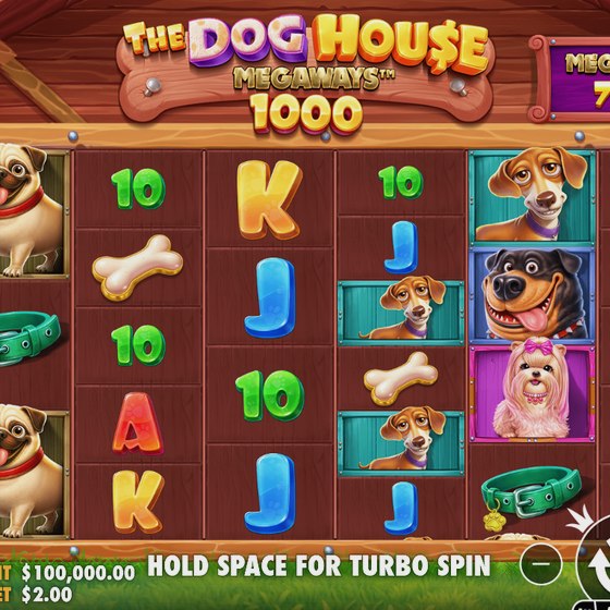 The Dog House Megaways 1000